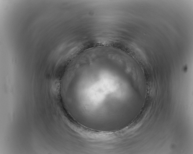 X0000091070036200708131202