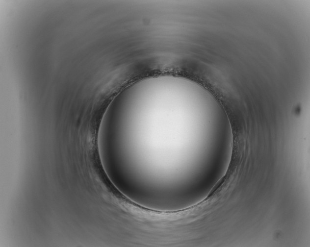X0000091070039200708131202