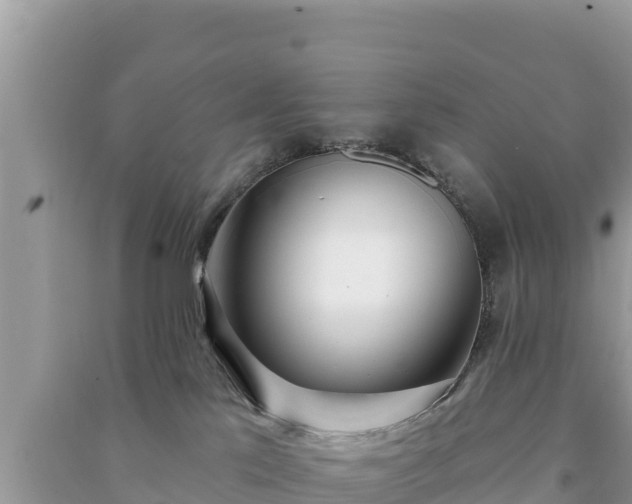 X0000091070041200708131202