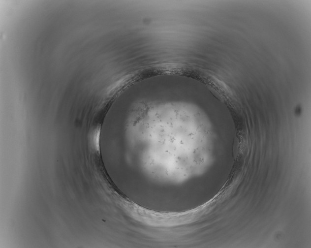 X0000091070047200708131202