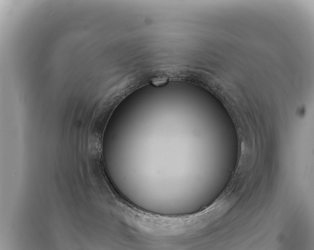 X0000091070048200708131202
