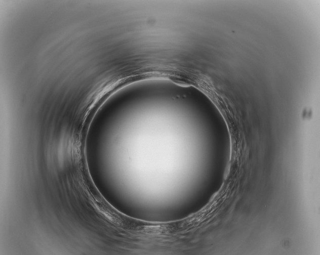 X0000091070050200708131201