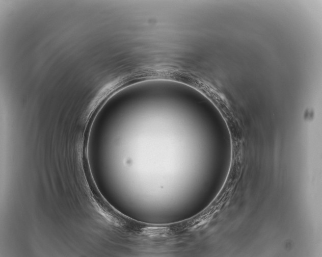 X0000091070051200708131201