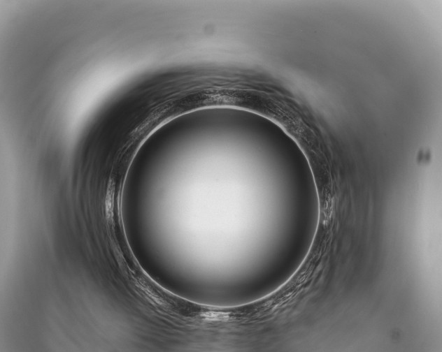 X0000091070052200708131201