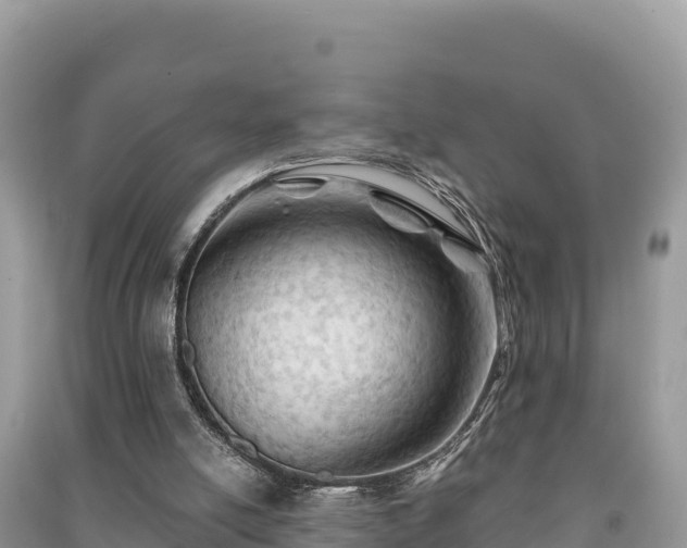 X0000091070054200708131201