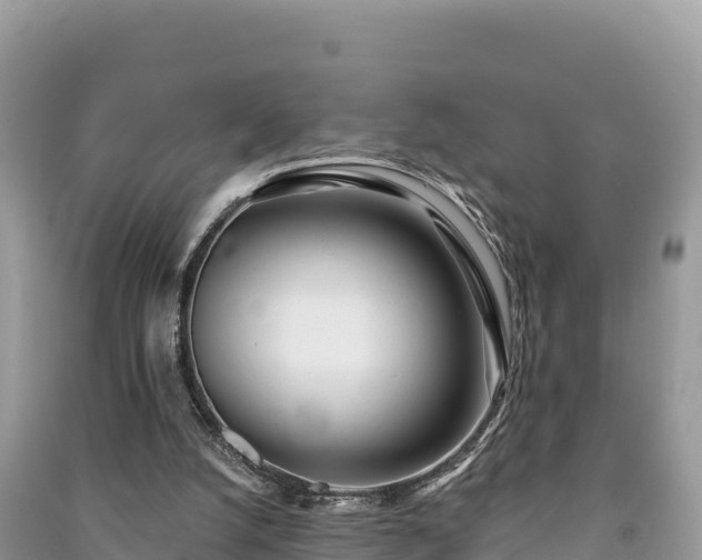 X0000091070056200708131201