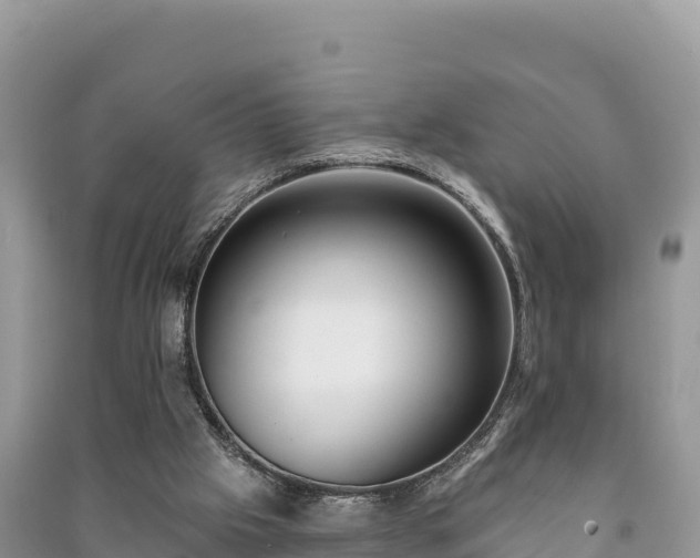 X0000091070057200708131202