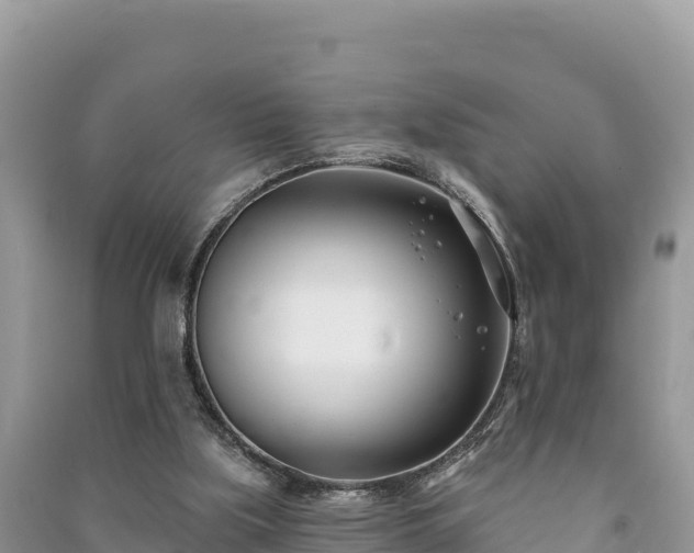 X0000091070059200708131202