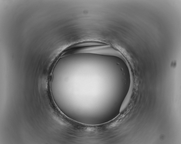X0000091070060200708131202