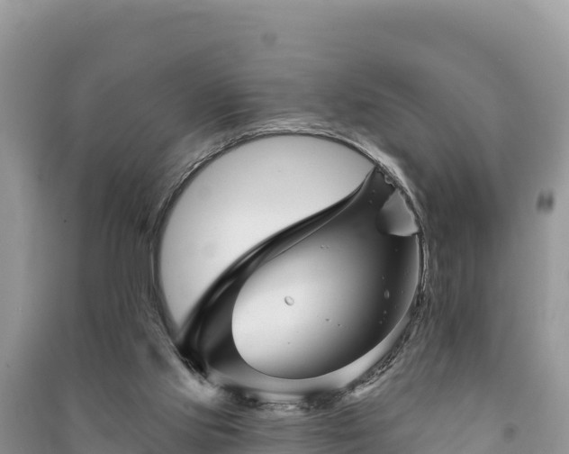 X0000091070061200708131202