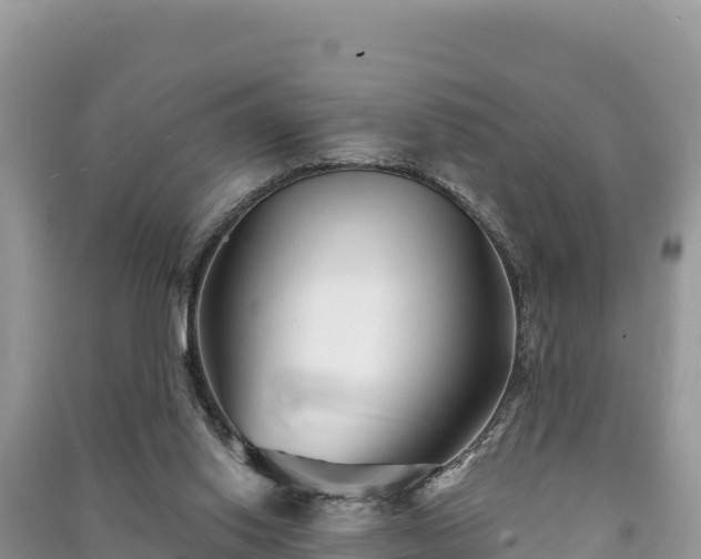 X0000091070062200708131202
