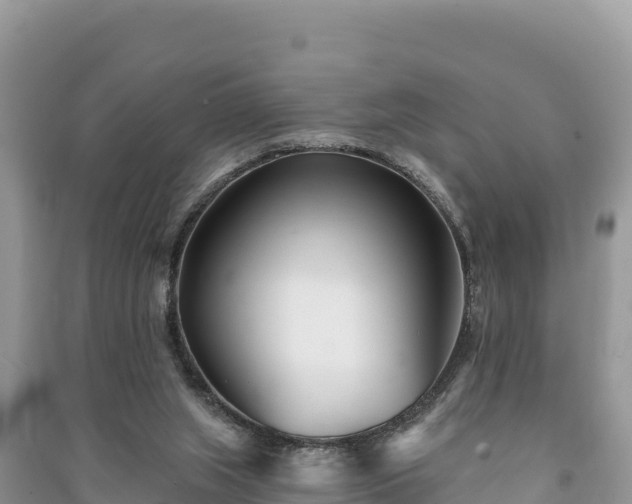 X0000091070063200708131202
