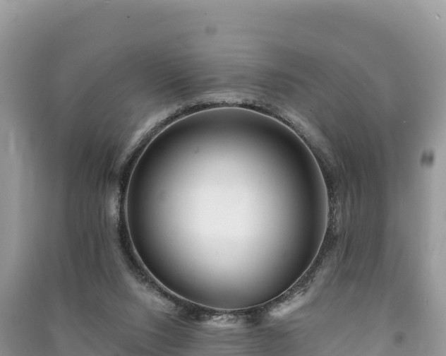 X0000091070064200708131202