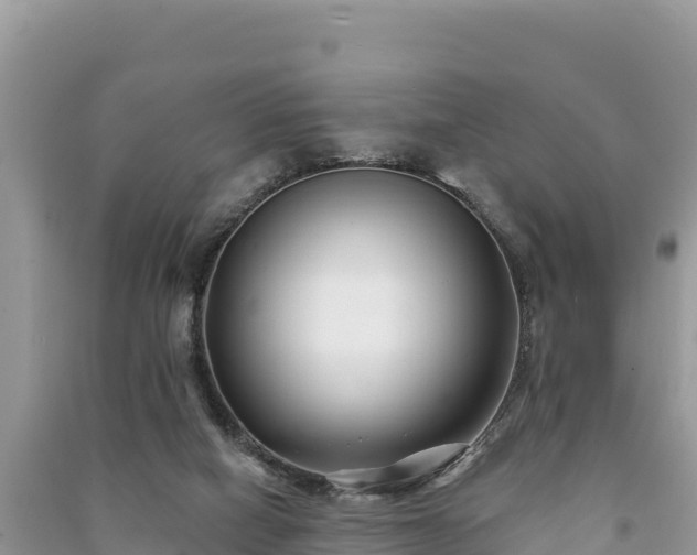 X0000091070066200708131202