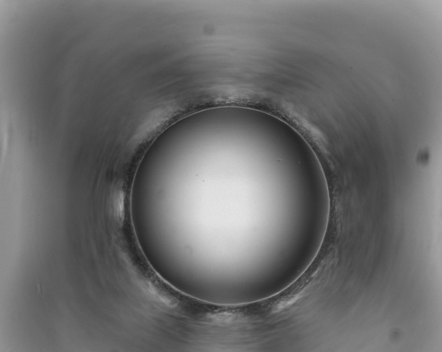 X0000091070067200708131202