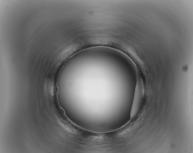 X0000091070068200708131202