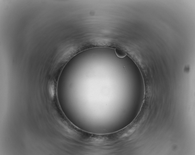X0000091070069200708131202