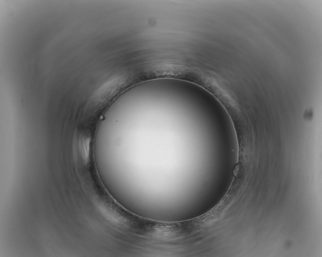 X0000091070070200708131202