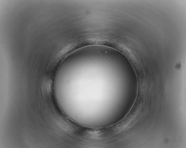 X0000091070071200708131202