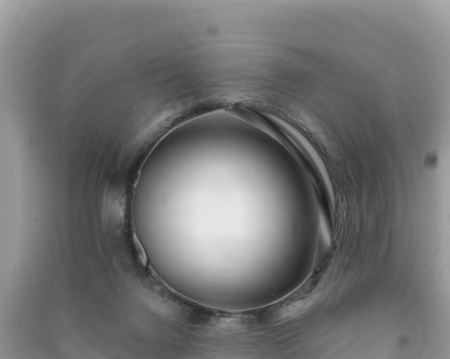 X0000091070072200708131202