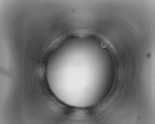 X0000091070073200708131202