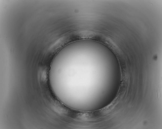 X0000091070074200708131202