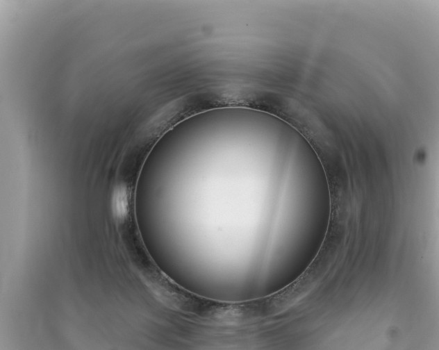 X0000091070075200708131202