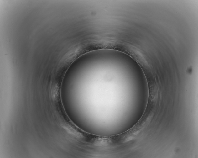 X0000091070077200708131202