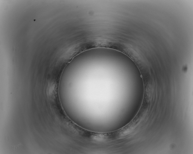 X0000091070079200708131202