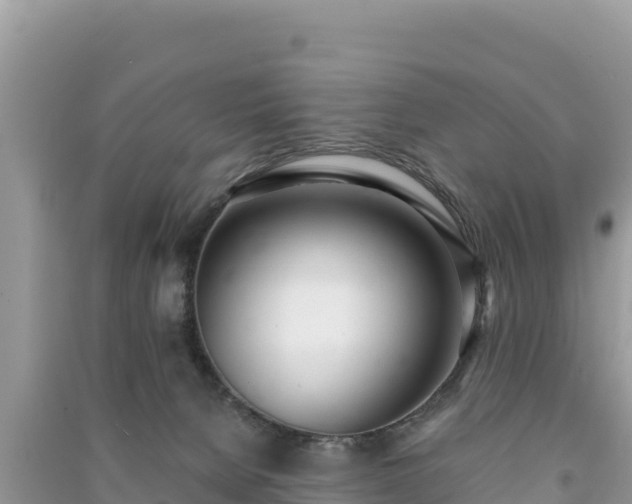 X0000091070080200708131202