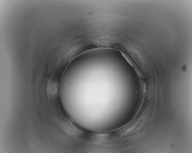 X0000091070081200708131202
