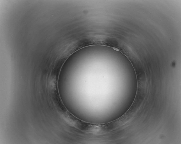 X0000091070083200708131202
