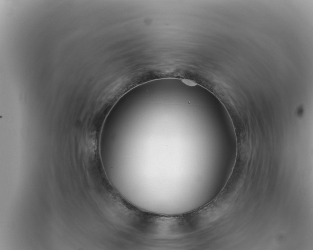X0000091070085200708131202