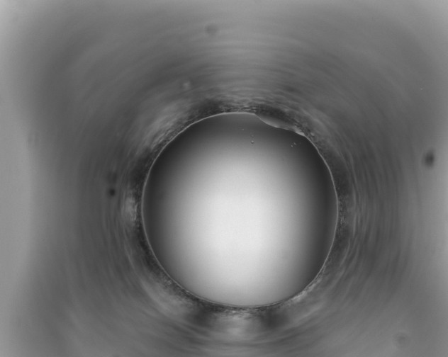 X0000091070086200708131202