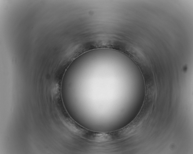 X0000091070087200708131202