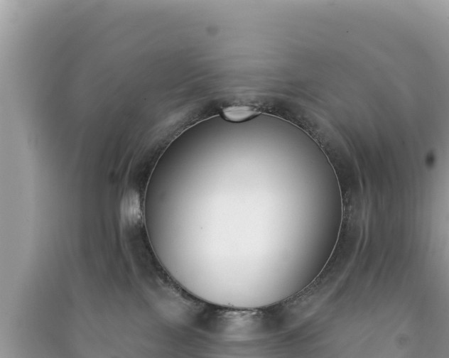 X0000091070089200708131202