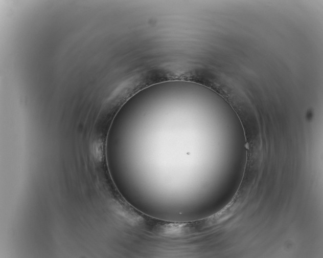 X0000091070090200708131202