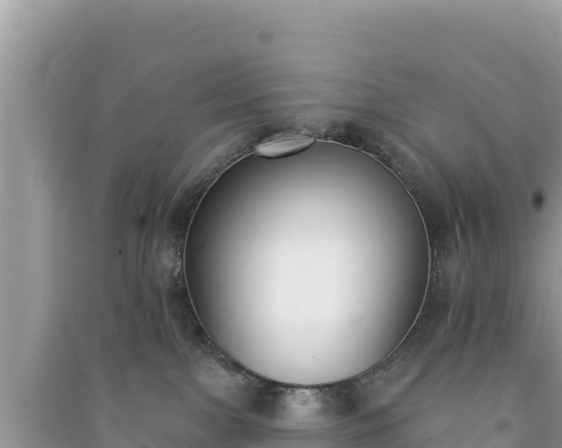 X0000091070091200708131202