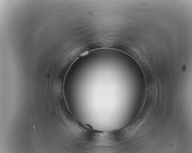 X0000091070092200708131202