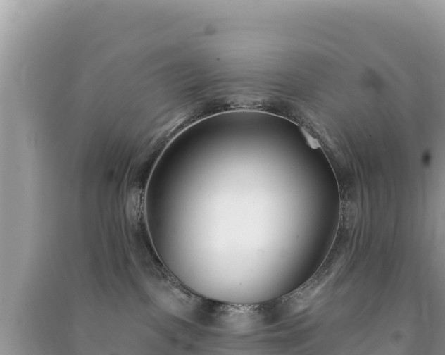 X0000091070093200708131202