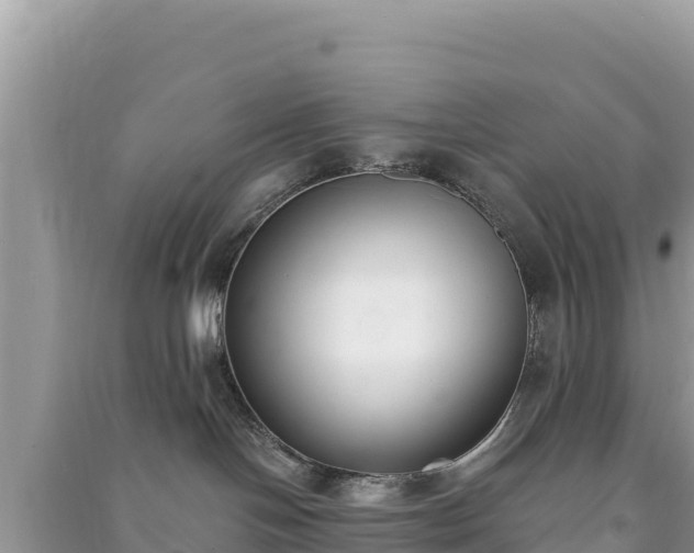 X0000091070094200708131202