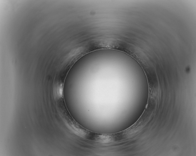 X0000091070095200708131202