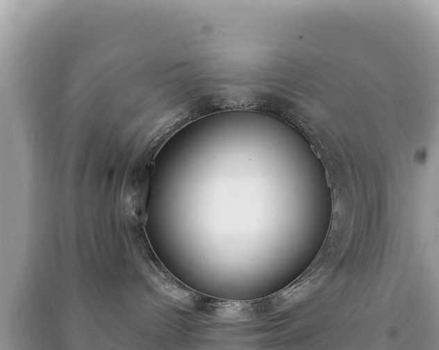 X0000091070096200708131202