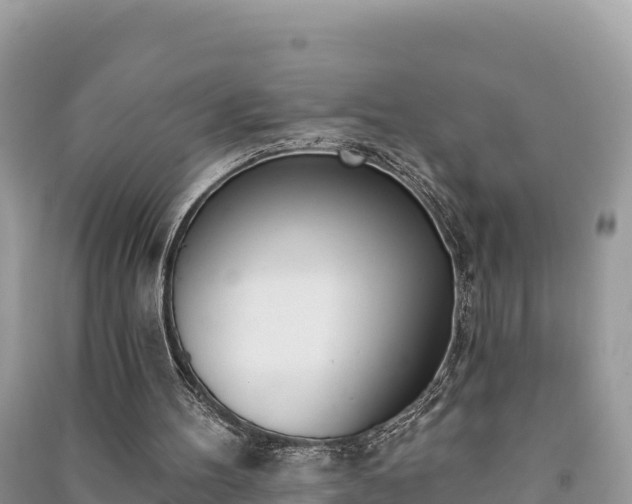 X0000091070100200708131201