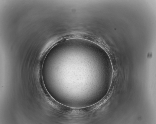 X0000091070101200708131201