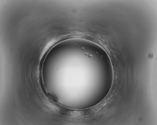 X0000091070102200708131201