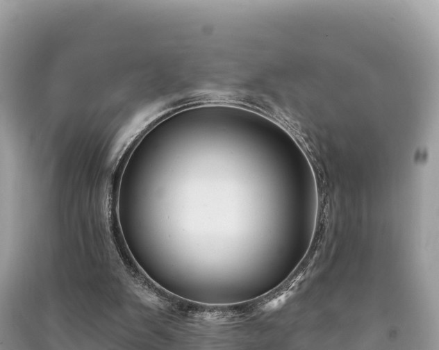 X0000091070103200708131201