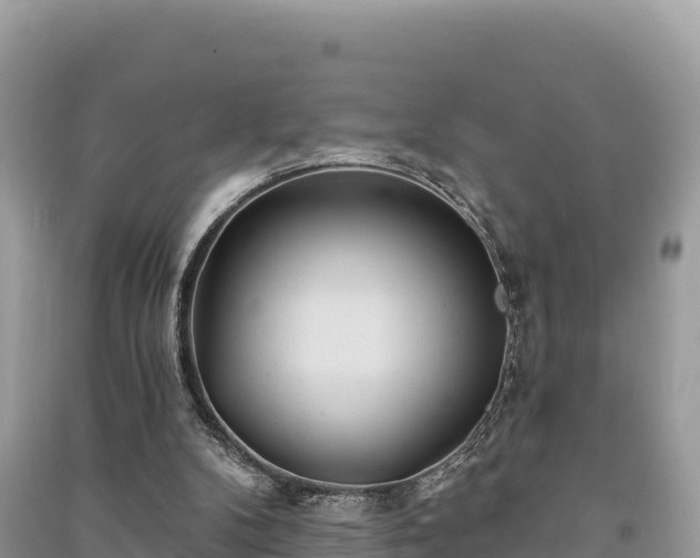 X0000091070104200708131201