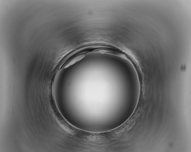 X0000091070105200708131201