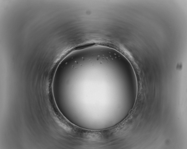X0000091070106200708131201